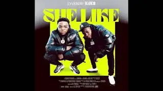 Darkoo - She Like (feat. Blanco) INSTRUMENTAL