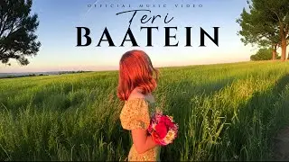 Vibes Fr - TERI BAATEIN(Official Music Video)