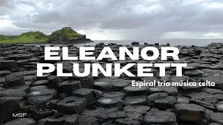 🎶 Eleanor Plunkett (excerto) by Espiral trio música celta 🎵 【No Copyright ©️ Music】⚡🔥  🎹 FREE!!!