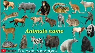 Wild animals names (जंगली जानवरों का नाम) Pictur And Sounds | wild animals names hindi