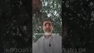 איך אהוד נמנע מ-3 טיפולי שורש? גלו את הדרך הטבעית!