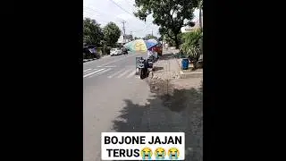 BOJONE MARAI BUDREK #shorts #videolucubahasajawa #jawalucu