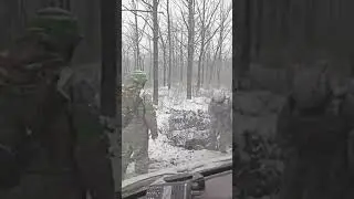 Братская могила