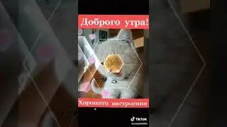 Доброе утро!!!