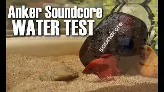 ANKER Soundcore  ICON MINI [WATER TEST]