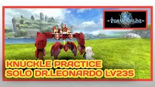 TORAM ONLINE | Learning to use Knuckle DPS at Dr.Leonardo Lv235
