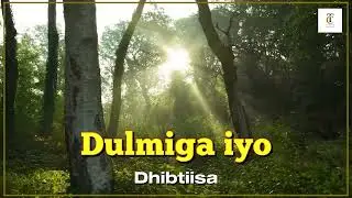 Dulmiga iyo Dhibatada uu leeyahay