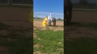 гномы захватили пони😅
