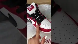 Nike SB Dunk Low Pro Chicago