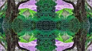 Copyright Free Trippy Background