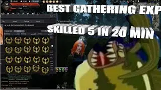 BEST GATHERING EXP IN BDO??? HOW TO POWERLEVEL GATHERING PC/XBOX/PS4