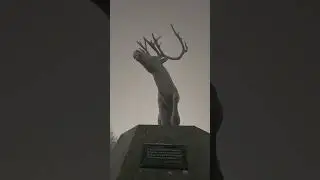 Вчерашяя прогулка в вертикальном исполнении.