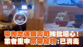 帶狗吃連鎖壽司挨批噁心！　業者重申禁帶寵物：已消毒｜新北三重｜寵物犬｜看新聞