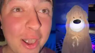 3.A.M videos be like p2￼