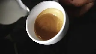 Di Bella Coffee - Latte Art 2017