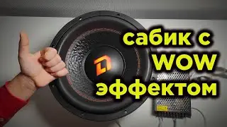 Interesting subwoofer DL Audio Gryphon Lite 12 V 2 SE