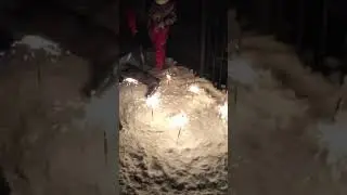 СОБАКА-ПОЖАРНИК И БЕНГАЛЬСКИЕ ОГНИ!!!