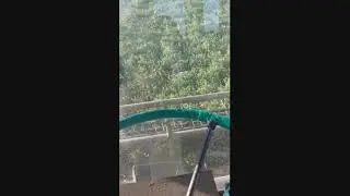 Уход за люцерной