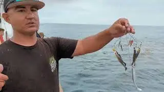 Crappie Fishing - Killer Calico Bass Rig