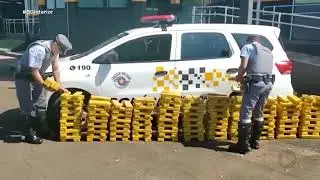 Adolescente levava muita maconha em Ipaussu