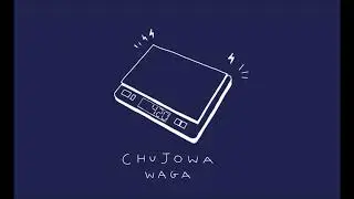 DEDOZET - CHUJOWA WAGA (prod. andersc)