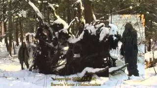 Sasquatch In The Woods And The Story Of Consistent Sightings