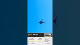 Southwest Colorado One #Southwest #southwestairlines #rare #livery #aviation #flight #Colorado #fyp