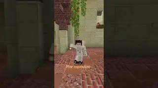 Мне норм, ему нет. Коллаб с @Sekret4 #minecraft #shorts