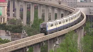 Chongqing Monorail Eight Car Trains