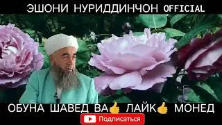 Срочно эшони Нуриддинчон хикояи ду маст дар ромит 2019