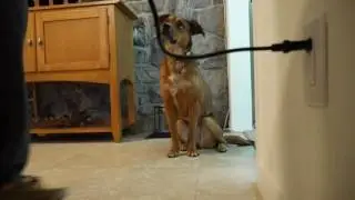 I Am Moving!