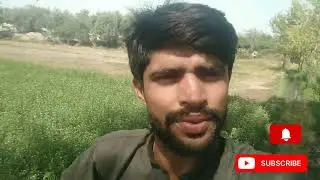 Punjab Vlogs view 10M #pti #punjabi