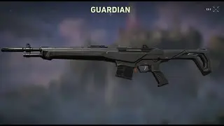 GUARDIAN: ROAD FROM NOOB TO PRO/ONLY CYPHER/ ONLY GUARDIAN