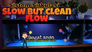 SIRKULASI AIR AQUARIUM YANG SANGAT AMAN UNTUK IKAN MAS KOKI - SLOW BUT CLEAN FLOW - DORSAL AMAN