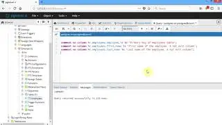PostgreSQL 005 Comment on column