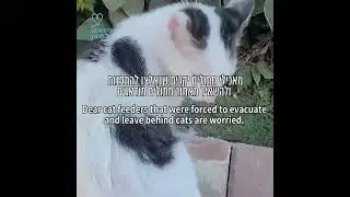 יחד. גם במלחמה. למען בעלי החיים. Together. Even in war. For the animals.