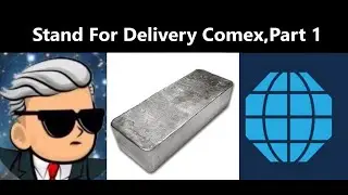 (Part 1) Took Delivery of Silver From Comex by u/Cestmarco  - Wall Street Silver member