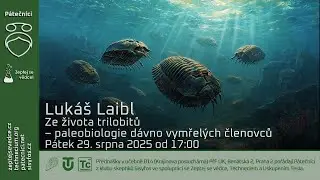 Lukáš Laibl: Ze života trilobitů - paleobiologie dávno vymřelých členovců (@Zeptej_se_vedce)