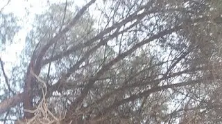 جولة ممتعة بنواحي مدريد👌👌👌👌