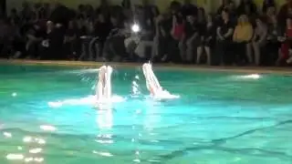 Synchronized Swimming 2012 Chihuahua