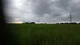 Поле донника