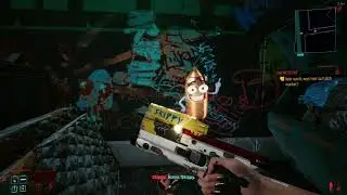 Cyberpunk 2077 | Skippy
