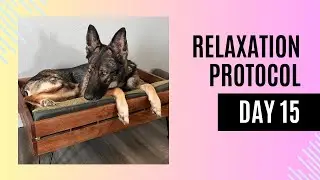Relaxation Protocol Day 15: Mastering the Art of Calm