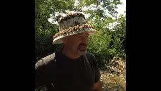 New and Improved Bee Hat 3000!!! Out with the old in with the new!!