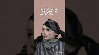 Czeslawa Kwoka
