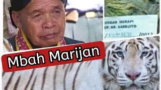 Mbah Marijan di Gunung Merapi. Perlu Penerus ? (Bagian 2)