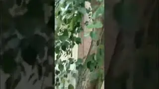 Угледар 2022. Шахтерская 10, 44
