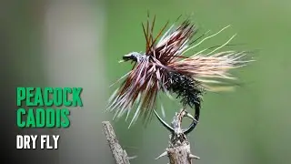 Tying the Peacock Caddis Dry Fly