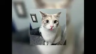 Dil chori ( Sped up )