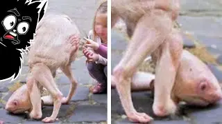 ЗАГАДОЧНАЯ ХРЕНЬ СНЯТАЯ НА ПОДОШВУ [Черный кот]